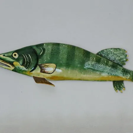 Regina Nuova 13 شقة *